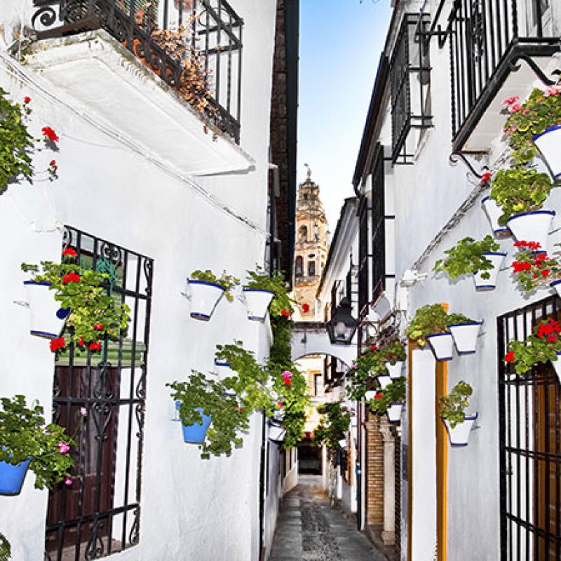 bnn-short-term-spain_sup5
